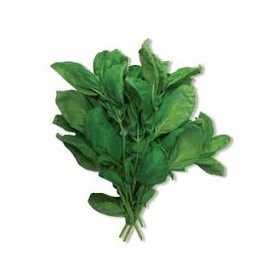 BASILICO MAZZI CASSETTA FRESCO